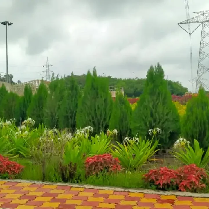 img 20241009 wa0218