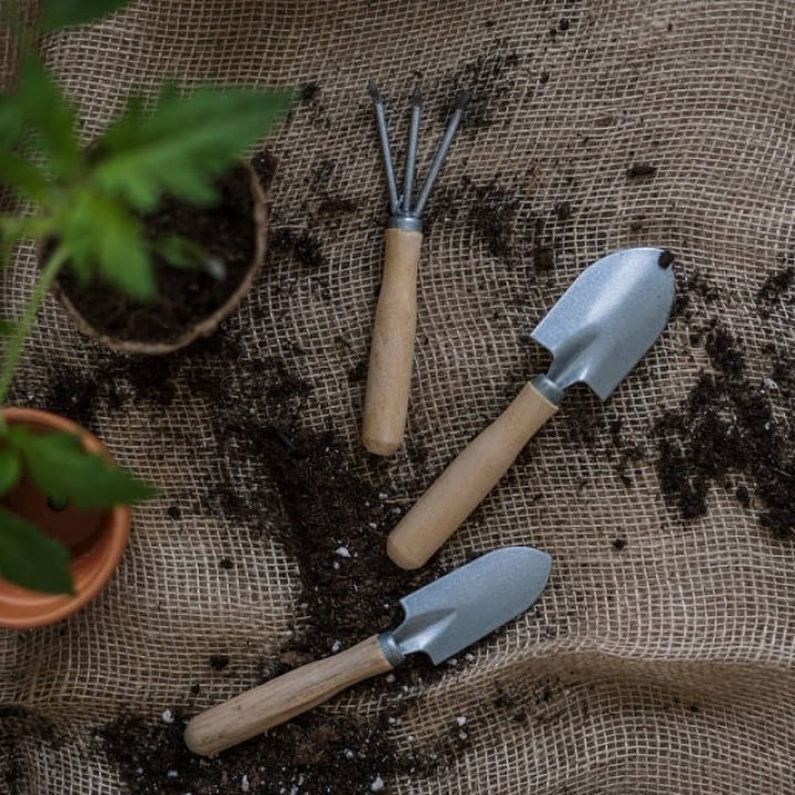gardening tools.jpg